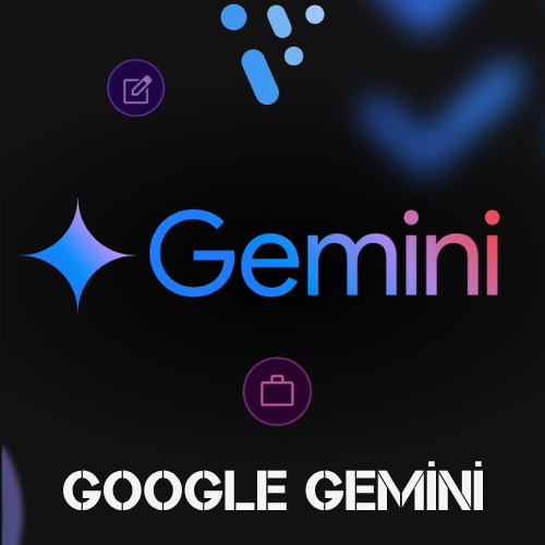 Google Gemini – 12 Aylık